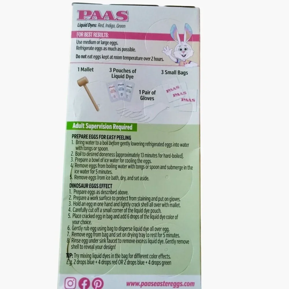 PAAS Dinosaur Eggs Decorating Kit Mallet Gloves Birthday Party Craft Easter Gift